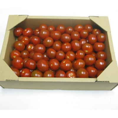 【ご家庭用】ヘタなしミニトマト　約1kg×2箱