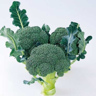 ブロッコリー　約2.5kg