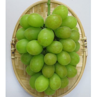訳あり シャインマスカット 約2kg ご家庭用