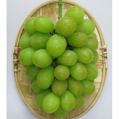 訳あり シャインマスカット 約1.1kg(2房)
