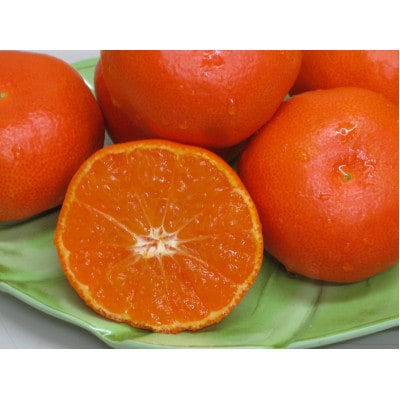 訳あり小原紅早生みかん(大玉)　約3kg