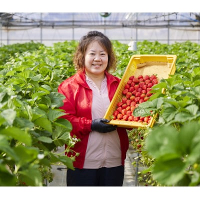 【発送月固定定期便】さぬき市美味いちご園の厳選さぬきひめいちご定期便全3回