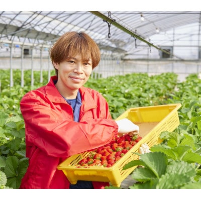 【発送月固定定期便】さぬき市美味いちご園の厳選さぬきひめいちご定期便全3回