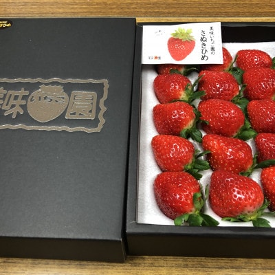 【発送月固定定期便】さぬき市極みのフルーツ定期便全6回