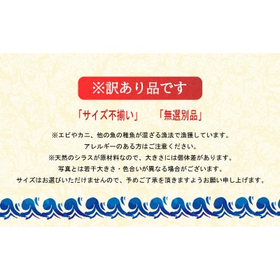 訳あり 冷凍 釜揚げシラス 1.0kg 真空パック 瞬間凍結品