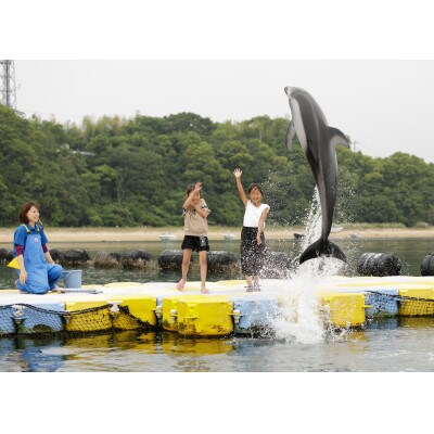 イルカとあそぼぉ体験 ペア 入場券付き