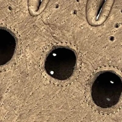 CACAZAN　ペッカリーレザー ドライビンググローブ【カラー:ライトブラウン/サイズ:L】