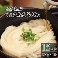 二段熟成半生さぬきうどん12人前(300g×4袋)