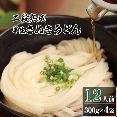 二段熟成半生さぬきうどん12人前(300g×4袋)