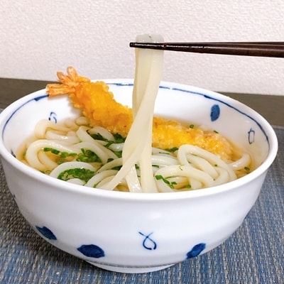 二段熟成半生さぬきうどん12人前(300g×4袋)