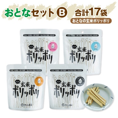 グルテンフリー&アレルギー対応　おこめのおかし禾のポリッポリ　おとなセットB　