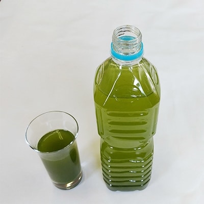 香川県さぬき市産　桑粉50g× 3袋