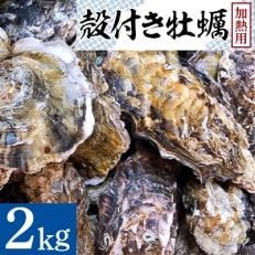 殻付き牡蠣2kg/加熱用