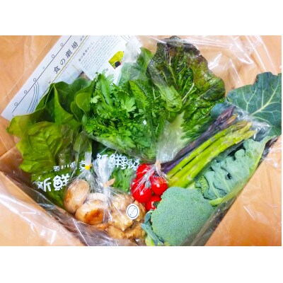 四季の農産物詰め合わせ～冬～