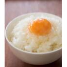 朝どれ卵30個