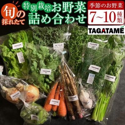 さぬき市小田産の食を楽しむTAGATAMEのお任せお野菜セット7～10品 | ふるさと納税のお礼品