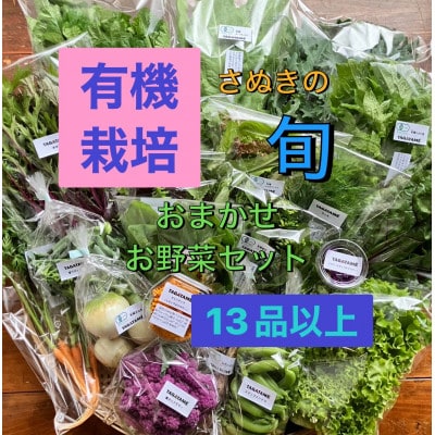 さぬき市小田産の食を楽しむTAGATAMEのお任せお野菜セット【大満足サイズ】13品以上