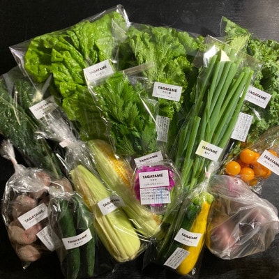 【毎月定期便】さぬき市小田産の食を楽しむTAGATAMEのお任せお野菜セット7～10品全12回