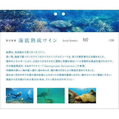 海底熟成ワイン