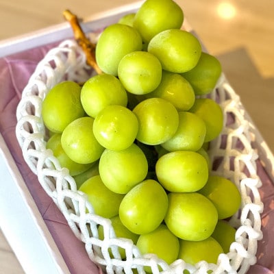 【2025年8月中旬より順次発送】極撰!大房シャインマスカット　1房(約750g)