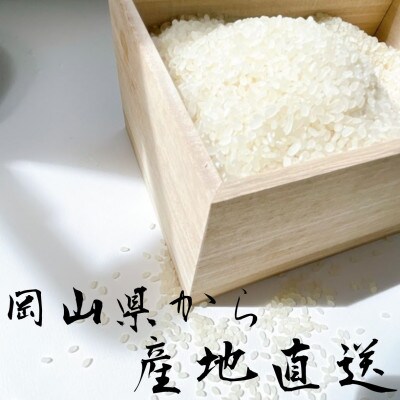 【令和6年産】【無洗米】岡山県産　コシヒカリ　10kg(5kg×2袋)