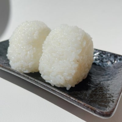 【令和6年産】【無洗米】岡山県産　コシヒカリ　10kg(5kg×2袋)