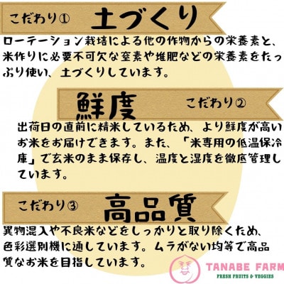 【新米予約】【令和7年産】 精米　岡山県産　あきたこまち　10kg(5kg×2袋)