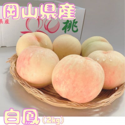 【先行予約】2026年発送 岡山県産 白鳳(2kg)