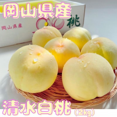 【先行予約】2026年発送 岡山県産 清水白桃 (2kg)