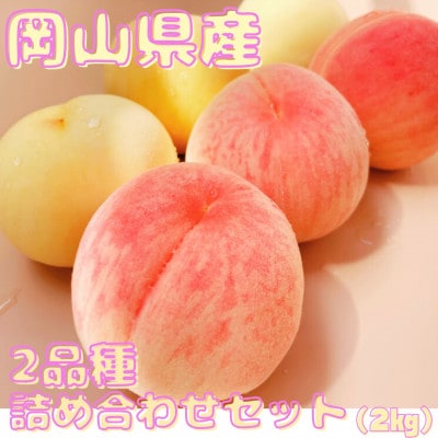 【先行予約】2026年発送 岡山県産 旬の桃!2品種詰め合わせセット(2kg)