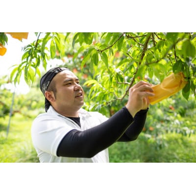 【先行予約】2026年発送 岡山県産 旬の桃!2品種詰め合わせセット(2kg)