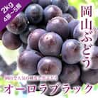 訳あり　岡山ぶどう＜オーロラブラック＞　2kg(4～5房)　種なし　栽培期間中化学肥料不使用
