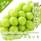 訳あり　岡山ぶどう＜シャインマスカット＞　2kg(4～5房)　種なし皮ごと　栽培期間中化学肥料不使用