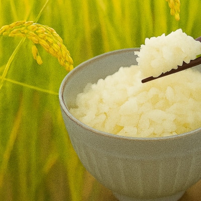 岡山県勝央町産　お米　10kg