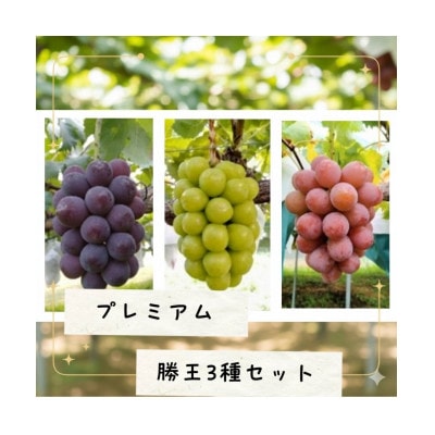 プレミアム勝王3種セット　限定30箱