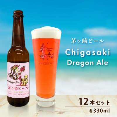 茅ヶ崎ビール(Dragon Ale) 12本セット