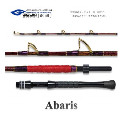 剛樹 釣り竿　アバリス235 (ABARIS 235SS) 235cm ウェイト負荷100-300号