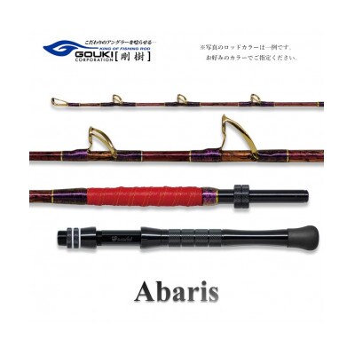 剛樹 釣り竿　アバリス235 (ABARIS 235S) 235cm ウェイト負荷150-300号