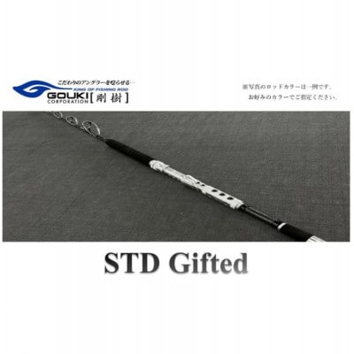 剛樹　STD ギフテッド (STD　Gifted　SR165) 165cm ウェイト負荷70-300