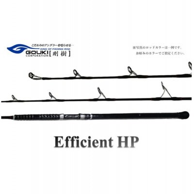 剛樹 エフィシェント EFFICIENT HP 600 202 ジギングロッド