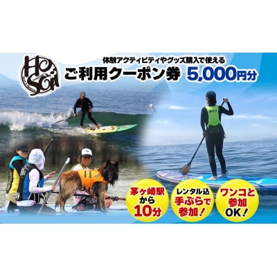 HosoiiSurf&Sports クーポン券 5000円分 サーフィン SUP体験