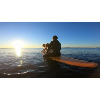 海洋散骨セレモニー券(大切なご家族(ペット)とのお別れセレモニー) 海へ散骨