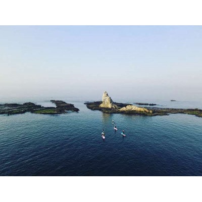 海洋散骨セレモニー券(大切なご家族(ペット)とのお別れセレモニー) 海へ散骨