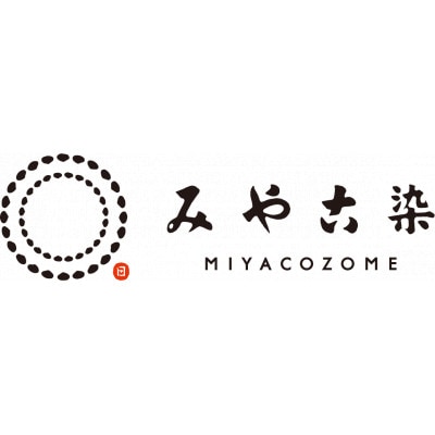 【染色キット】 みやこ染　ろうけつ染め 大判ハンカチキット(レッド)