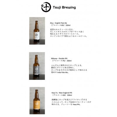 クラフトビール 瓶6本セット
