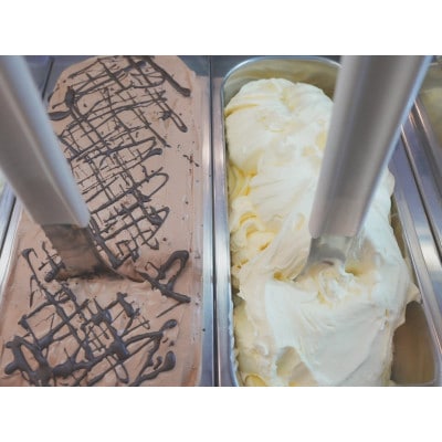 【新登場!】湘南茅ヶ崎の人気店 プレンティーズのしぼりたてミルク&生チョコアイスクリーム各3個セット