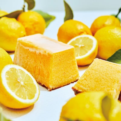 メゾンカカオ 夏季限定 レモンケーキ MAISON CAKE レモン 1個 冷凍配送