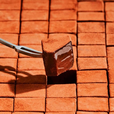 メゾンカカオ アロマ生チョコ2種(16粒×2箱) JOURNEY&ELEGANCE ギフト 冷凍