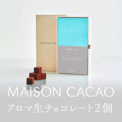 メゾンカカオ アロマ生チョコ2種(16粒×2箱) JOURNEY&ELEGANCE ギフト 冷凍