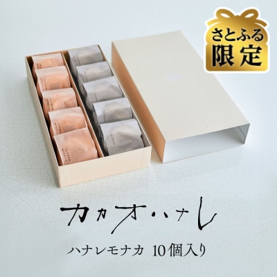 【さとふる限定】カカオハナレ ハナレモナカ チョコ&アールグレイ 10個セット(各5個入り) 冷凍 | ふるさと納税のお礼品